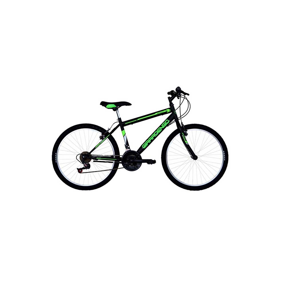 Bicicletta Mountain Bike misura 24 per Ragazzo regolabile cambio 18 v