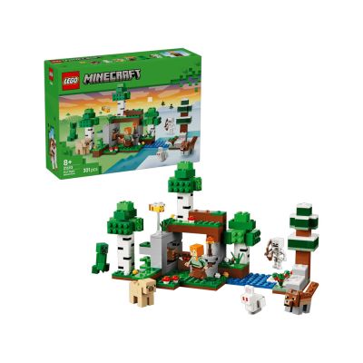 LEGO Minecraft Avventura della Prima Notte 301 Pezzi