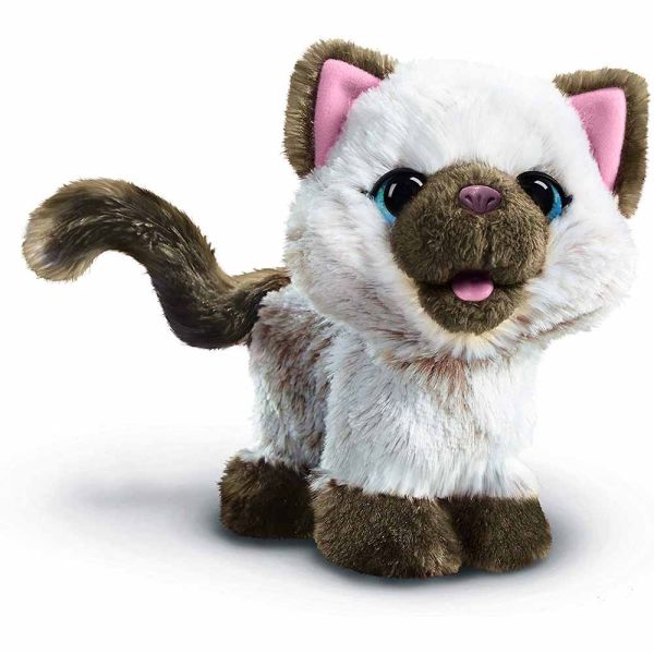Giocattolo Furreal Friends Gatto Prezzo Club Petz Bella, The